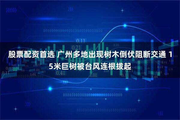 股票配资首选 广州多地出现树木倒伏阻断交通 15米巨树被台风连根拔起