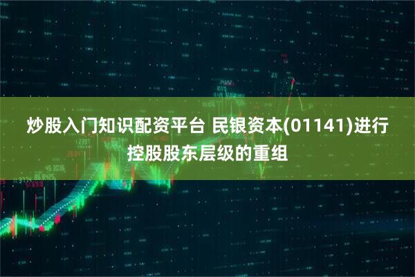 炒股入门知识配资平台 民银资本(01141)进行控股股东层级的重组