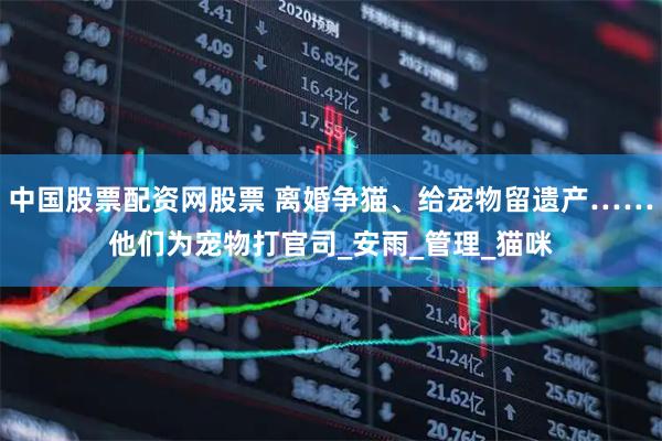 中国股票配资网股票 离婚争猫、给宠物留遗产……他们为宠物打官司_安雨_管理_猫咪
